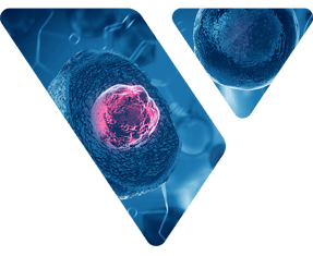 Case_Study_CellTherapy